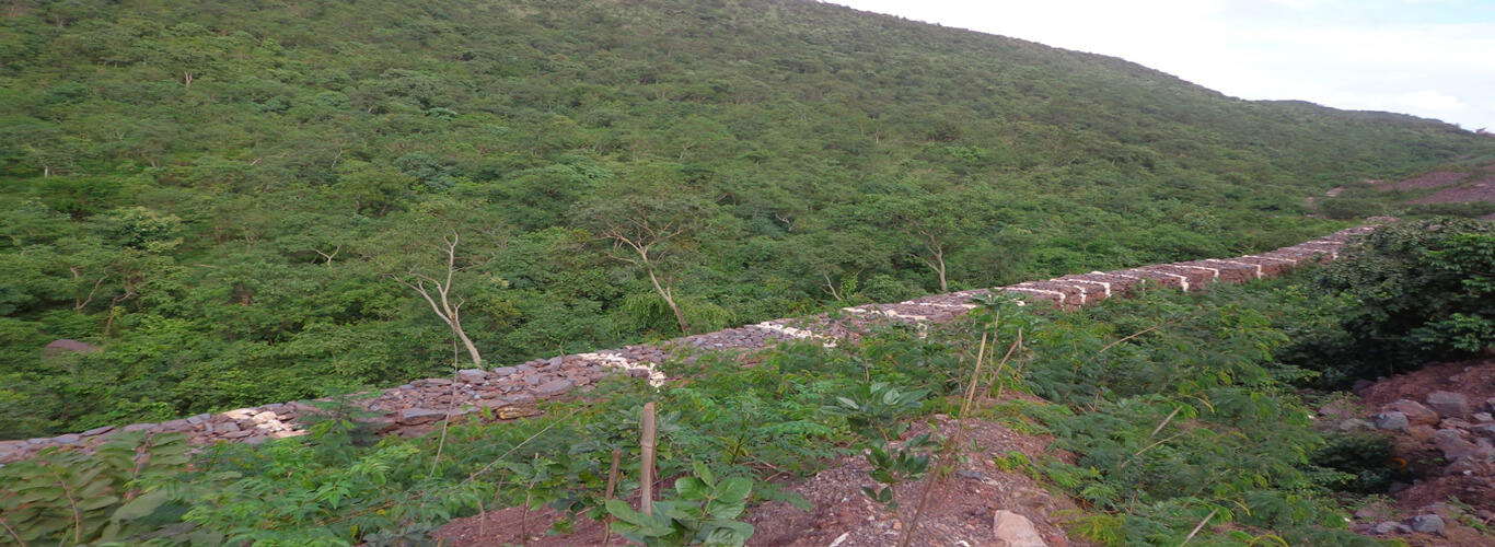 Nadeem Minerals Private Limited